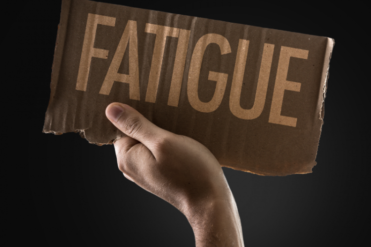 Balanced high-protein meal supporting stable blood sugar and improved energy for adults over 40