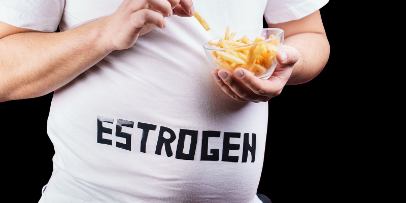 Visceral fat and dietary habits associated with altered estrogen metabolism in adults