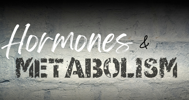 hormones and metabolism after 40