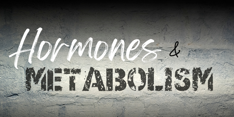 hormones and metabolism after 40