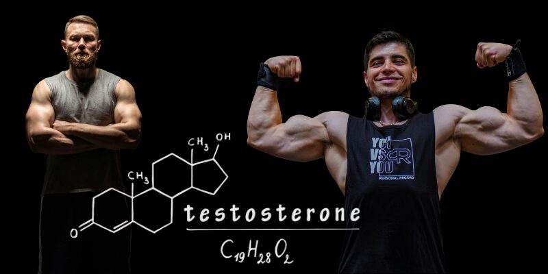 Visual comparison of muscular development alongside testosterone molecular structure, symbolizing strength, hormones, and performance outcomes