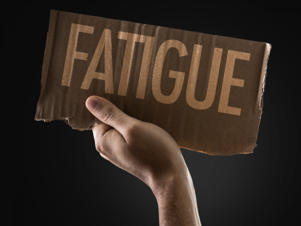 Balanced high-protein meal supporting stable blood sugar and improved energy for adults over 40